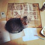 4657636 Legacy of Dragonholt