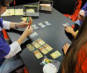 3815888 Chickwood Forest