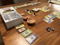 4556774 Vadoran Gardens