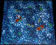 5002122 Bermuda Pirates