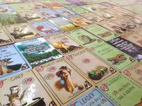 3980867 The Nut Game