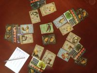 3980871 The Nut Game