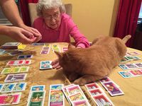 3394585 Gloria Picktoria