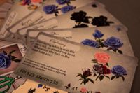 4760664 Rare Roses