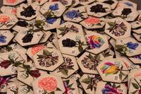 4760667 Rare Roses