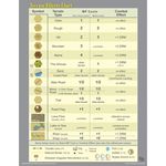 4275135 Forgotten Legions