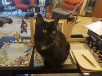 5058433 Zeppelin Raider: Imperial German Naval Airships