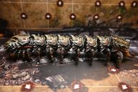 5508186 Project: ELITE