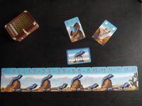 4337131 Keine lahme Agame
