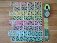 5801129 Avocado Smash!