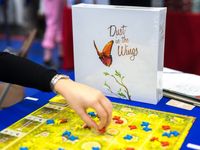 4788507 Dust in the Wings