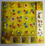 4842355 Dust in the Wings