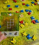 4842356 Dust in the Wings