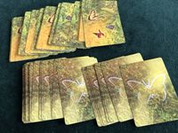 5038936 Dust in the Wings