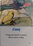 4389324 KOI: Cool Weather Promo Card