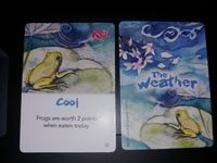 4481020 KOI: Cool Weather Promo Card