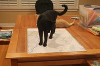 5017792 Breakout: 1st Panzer Army