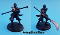 5449410 Shadows of Brimstone: Shadow Clan Ninja Deluxe Enemy Pack