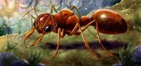 4679572 March of the Ants: Empires of the Earth