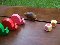 326405 Tempo, kleine Schnecke!