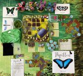 6000574 Papillon: Beyond the Meadow