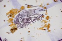 4843425 Hats (EDIZIONE INGLESE)