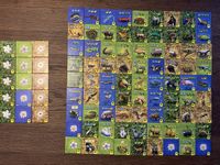 5428654 Habitats: XL Expansion