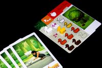 5061910 Ducks in Tow