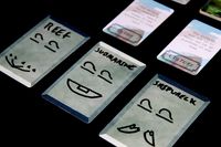 5476444 Rosetta: The Lost Language