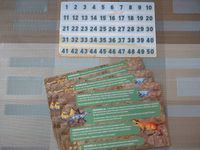 6313071 Lost Kingdoms: Pangea in Pieces