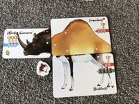 5486121 Darwin's Choice: Before and After