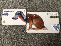 5486122 Darwin's Choice: Before and After