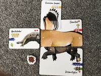 5486123 Darwin's Choice: Before and After