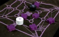 6594186 A dance of spiders