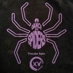 7299697 A dance of spiders