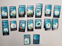 6393598 Dungeon Mayhem: Monster Madness