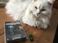 5723914 Arkham Horror: Il Gioco di Carte – Lo Zampino di Miaolathotep