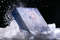 5949240 Winter Queen