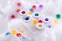 6056060 Winter Queen