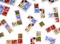 5199985 Wald der Wunder