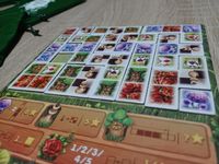 5687399 Wald der Wunder