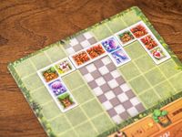 5707609 Wald der Wunder