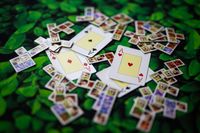 5810351 Wald der Wunder