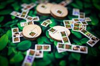 5810354 Wald der Wunder