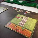 6091663 Wald der Wunder