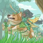 5402083 Deck of Wonders