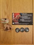 5796010 Funkoverse Strategy Game: Jurassic Park 4-Pack