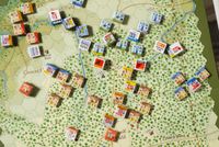 7351287 Into the Woods: The Battle of Shiloh