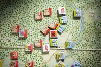 7351303 Into the Woods: The Battle of Shiloh