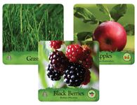 5209760 Hungry Life North America Us